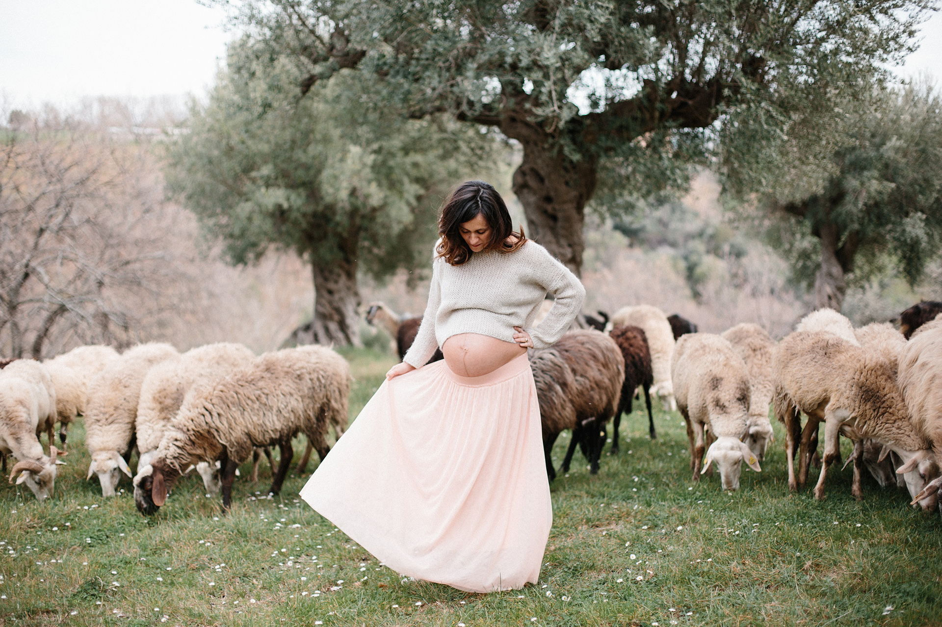 donna gravida tra ulivi e pecore