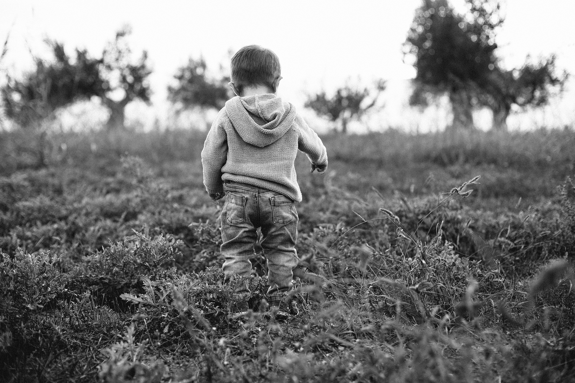 bambino di spalle cammina nel prato