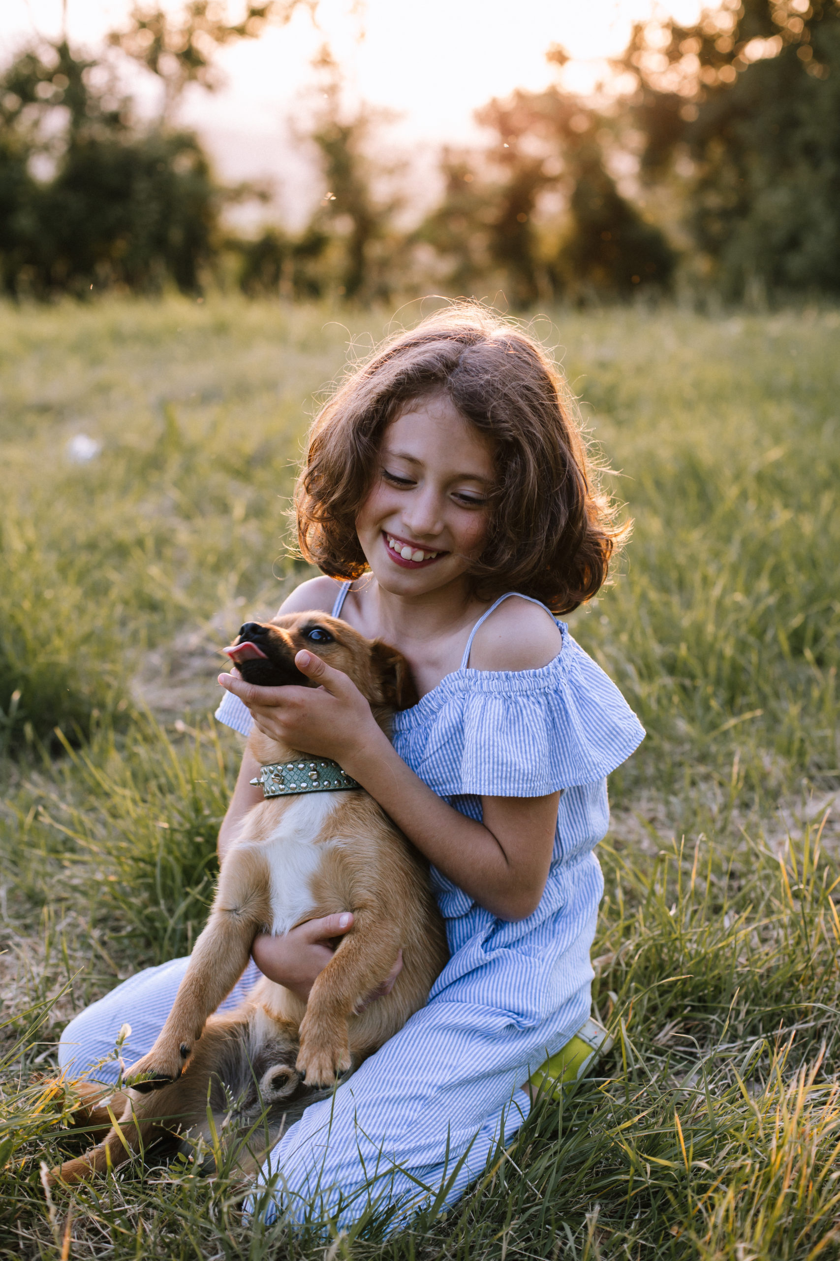 bambina con il cane nel prato
